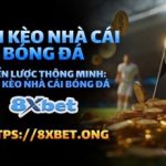 Phân Tích Kèo Bóng Đá 8xbet – Khám Phá Cơ Hội Sinh Lợi Tốt Nhất