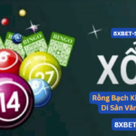 Rồng Bạch Kim 666 – Khám Phá Di Sản Văn Hóa Việt 8xbet