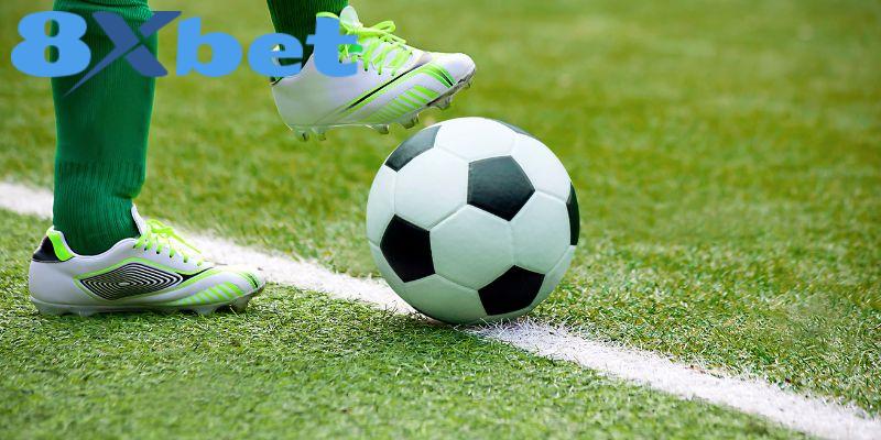 Chiến thuật đánh kèo rung bất bại tại 8xbet giúp người chơi cá độ bóng đá thắng lớn